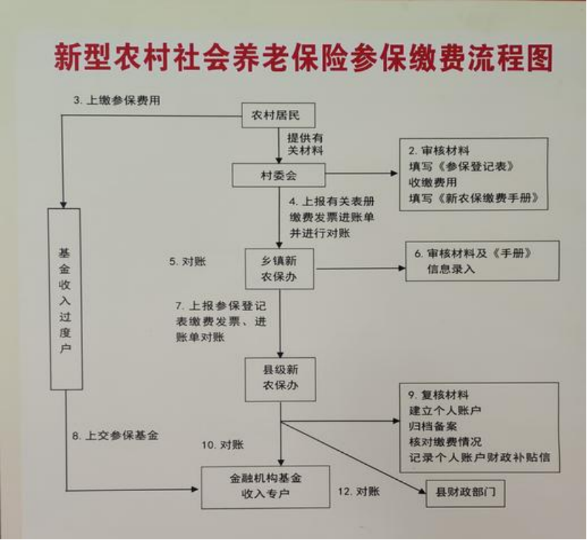 安顺农村医保和社保有什么区别(农村医保跟社保的区别)