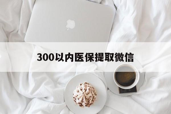 安顺300以内医保提取微信(小额医保300以内提取)